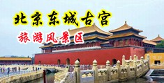 玩翻了欧美女人的骚穴中国北京-东城古宫旅游风景区